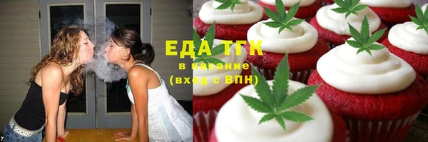 стаф Каменка