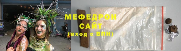 стаф Каменка