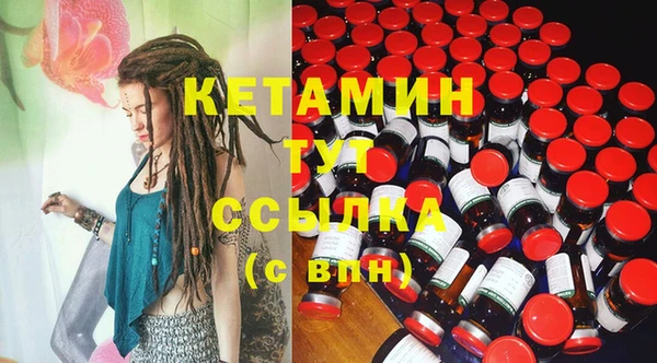 стаф Каменка