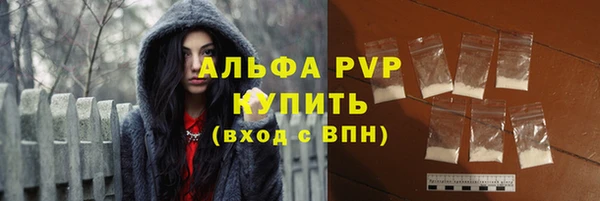 стаф Каменка