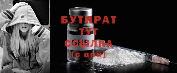 стаф Каменка