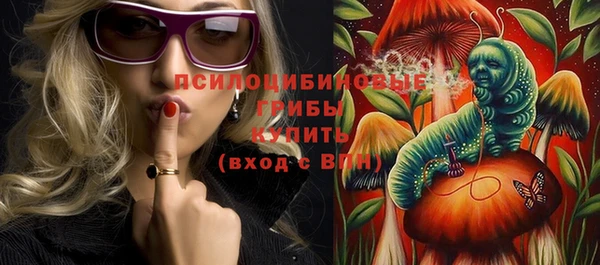 СК Каменногорск