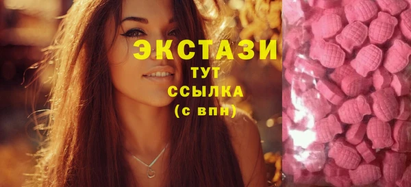 стаф Каменка