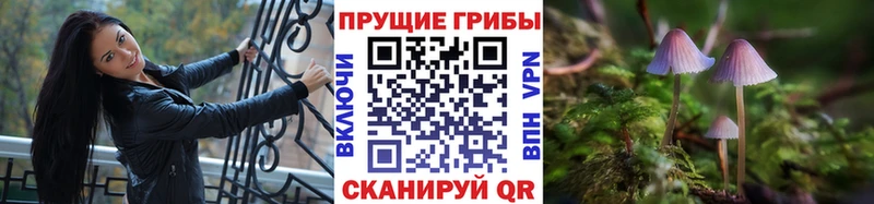 Купить  Гремячинск  Галлюциногенные грибы мухоморы 